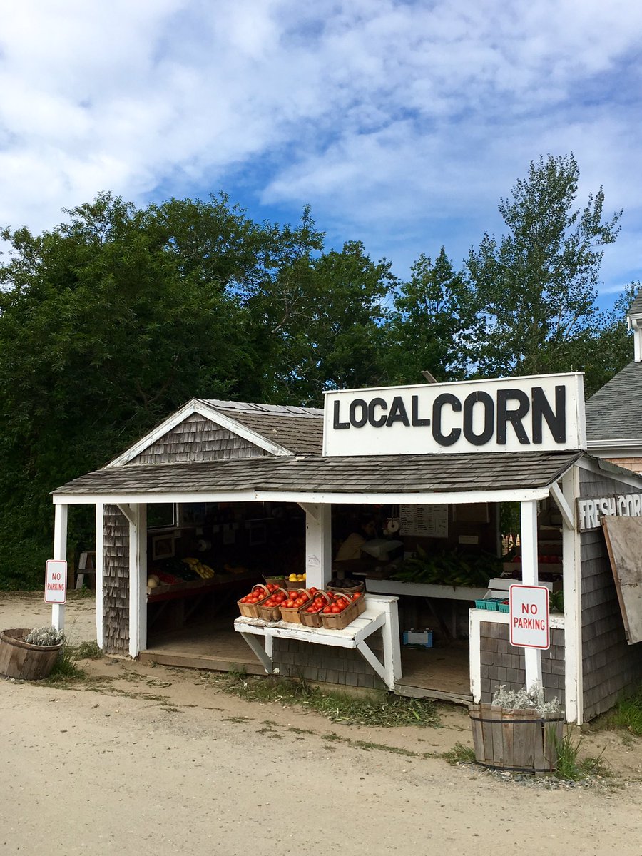 DebG91's tweet image. Ham fan singing along to the soundtrack in her veggie stand this morning. @HamiltonMusical @Lin_Manuel #capecod