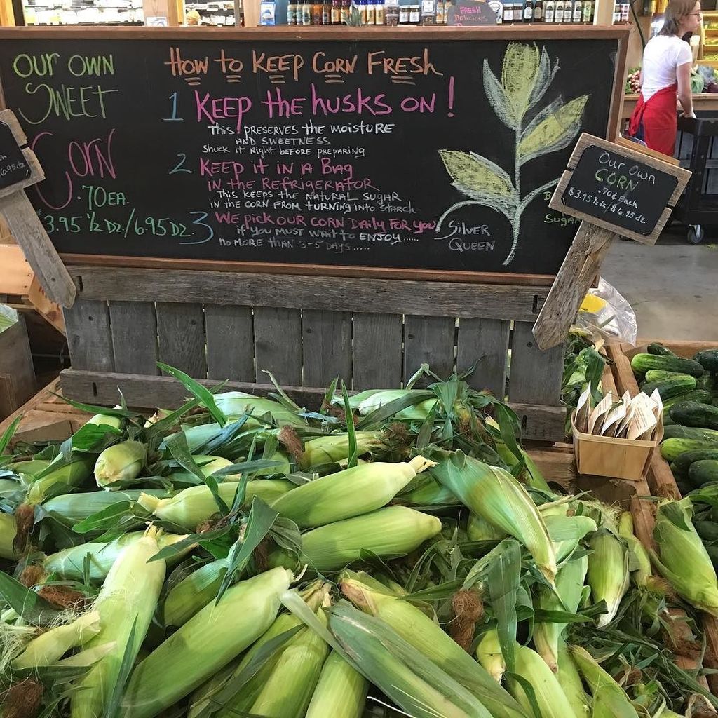 ModernistPantry's tweet image. Nothing beats freshly picked #sweetcorn 🌽 in the summertime. ift.tt/2bvZ3KI