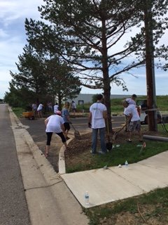 HorizonHealth1's tweet photo. Thank you to the @MandT_Bank volunteers who came to Horizon Village Campus for @UWBEC Day of Caring! #DOC2016BFLO https://t.co/8TxhxemMt7