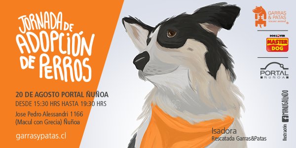 LaPili_'s tweet image. #AdoptaNoCompres 💞
Termina el invierno con la mejor compañía❤🐶 
#JornadaGyP 20/8 
#buscadog 
bit.ly/jo20ag