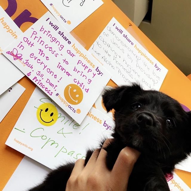 Lib4Health's tweet image. No act is too small - how are you spreading happiness?