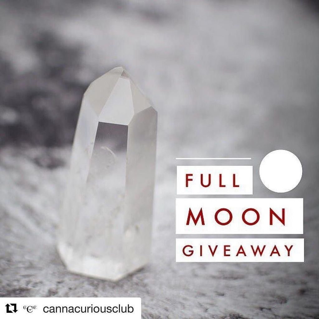 SparkleShelf.com tweet media