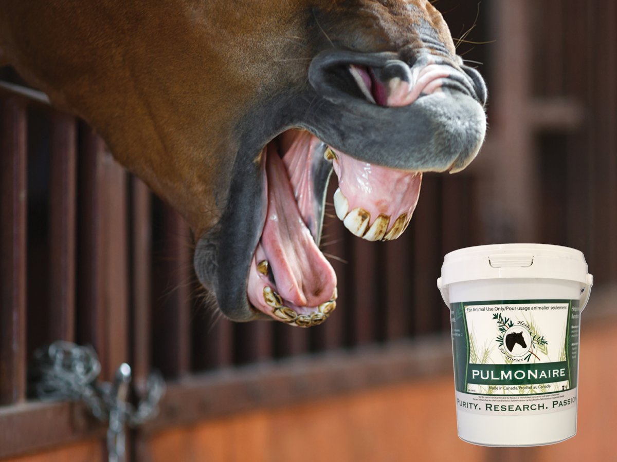 PULMONaire is a great antioxidant &amp; suppresses over-active immune responses to allergies. ow.ly/AFS7303k4Js