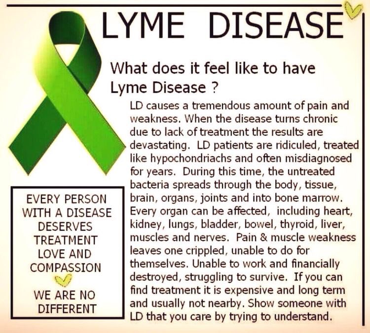 hickman_candice's tweet photo. So sick of this disease! I hate you Lyme disease! #lymeishell #lymedisease #lymewarrior #Lyme https://t.co/Eweemwg8Wx
