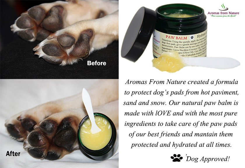 Because they deserve the best! #paw #Balm for our furry friends. #dogslife #natural <a href="/dogcelebration/">CelebrationOfDogs</a>