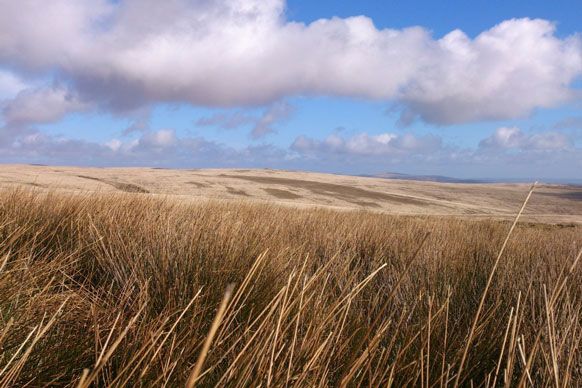 #GetOutside &amp; bag a trig for #TrigPillar80 with this great Dartmoor walk from <a href="/BlondesTwo/">Two Blondes Walking ®</a> social.os.uk/a47p5