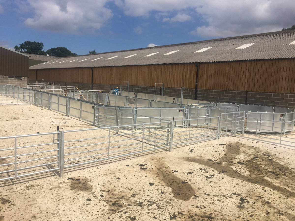 Jayclayheath's tweet image. @LMBateman79 One of the biggest/best sheep systems I&apos;ve designed........so far! #biggerthingstocome #heavymetal
