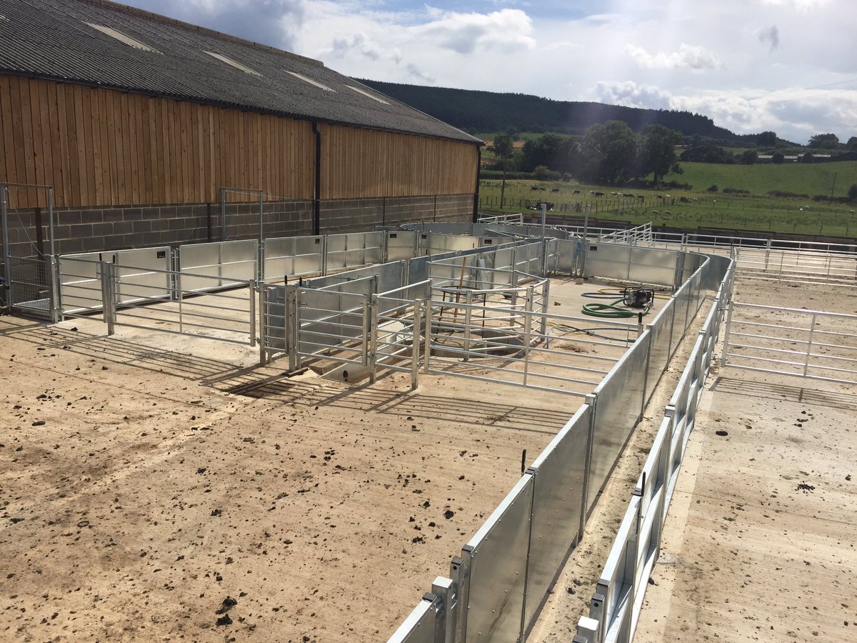 Jayclayheath's tweet image. @LMBateman79 One of the biggest/best sheep systems I&apos;ve designed........so far! #biggerthingstocome #heavymetal