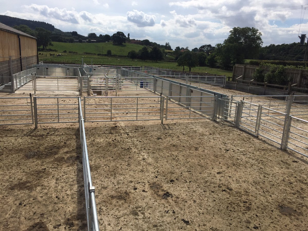 Jayclayheath's tweet image. @LMBateman79 One of the biggest/best sheep systems I&apos;ve designed........so far! #biggerthingstocome #heavymetal