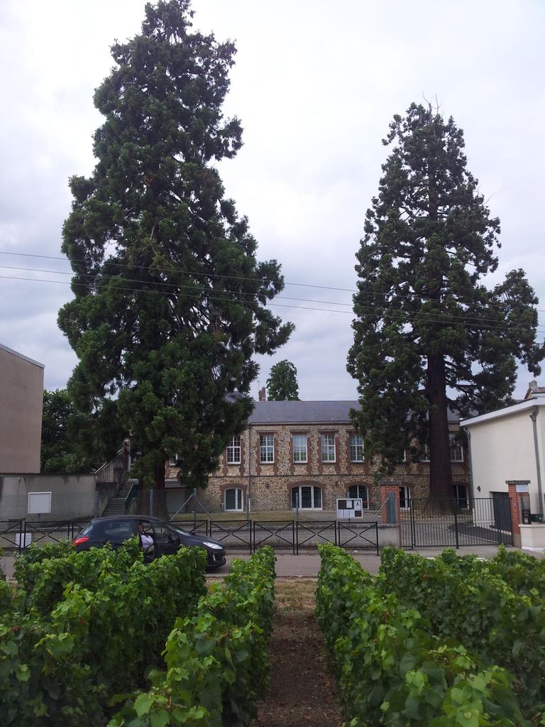 Louis Lheureux tweet media