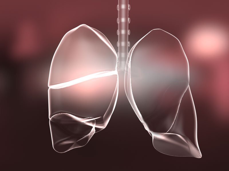 HealthiosX's tweet image. Researchers inhibit tumor growth in new subtype of lung cancer - buff.ly/2b5s8Ne