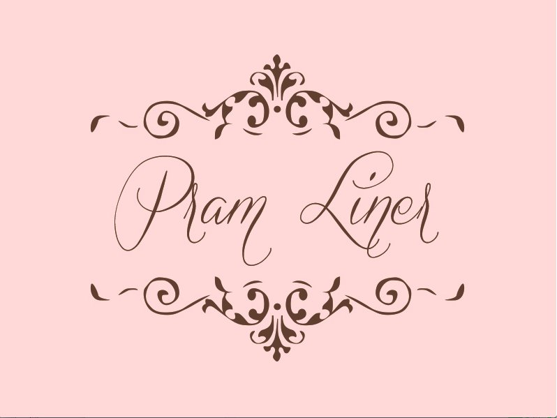 BambellaUK's tweet image. Go team Bambella! @CRadley_ reviewed one of our colourful #pramliners bit.ly/2aDiHmg #bambellafan