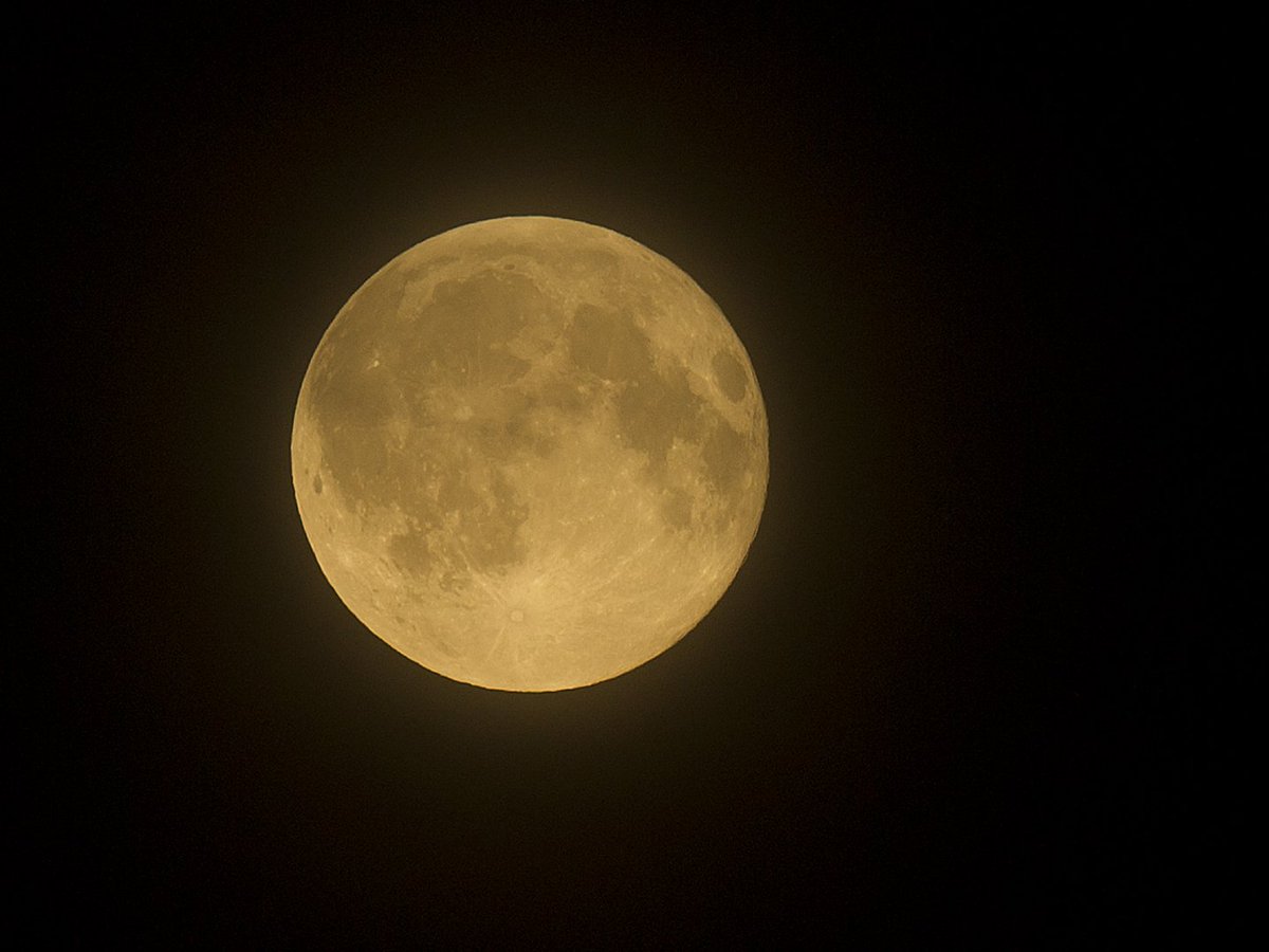 Луна светила из круглой пушистой. Луна желтая большая. Кто такой лунагт. Желтая Луна на все изображение. Ярко жёлтая Луна и внизу всё желто.