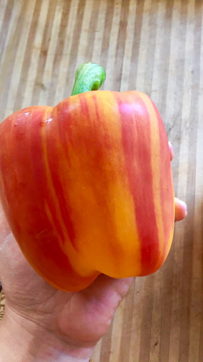 LivingFoodsGirl's tweet photo. https://t.co/Jq3XrItTmX New post on food inspiration for this month including the highlight, Stripy Peppers https://t.co/HbFdgrGjGt