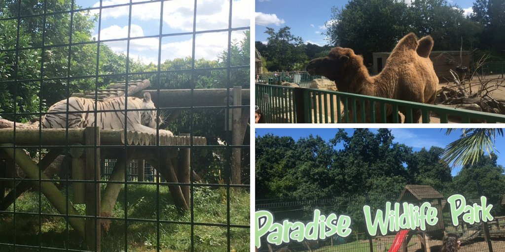 followthekeeper's tweet photo. We love all the pics you Tweet us @ParadiseWLPark of your days out here!! Keep them coming!! #weekend https://t.co/3a0HnRyIlq