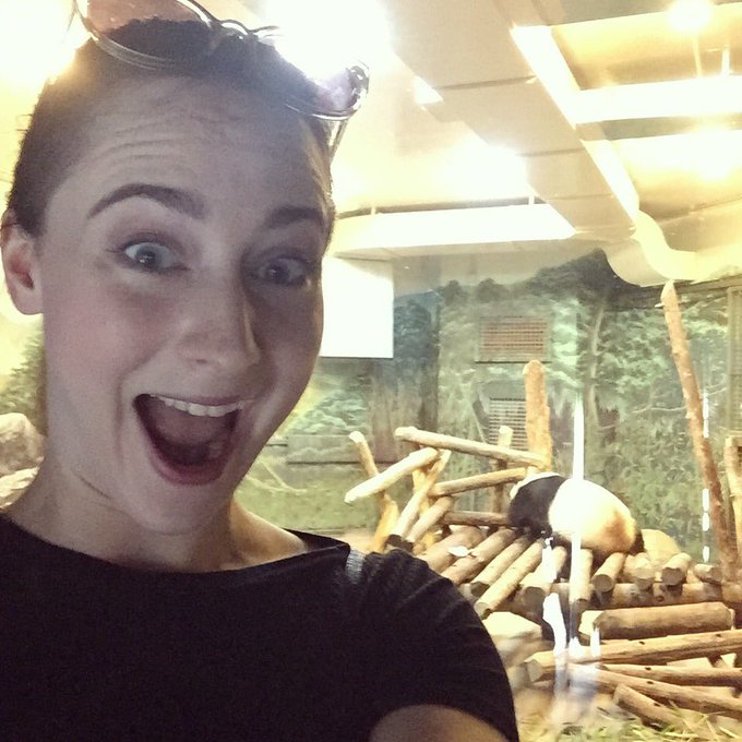 PANDAS. OMFG YOU GUYS BABY PANDAS. https://t.co/oe2gGN1wOs