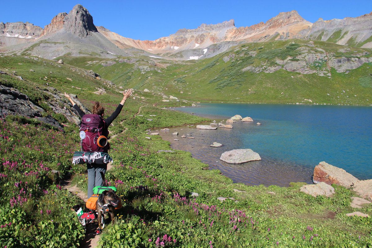 Katie Mogowski tweet media