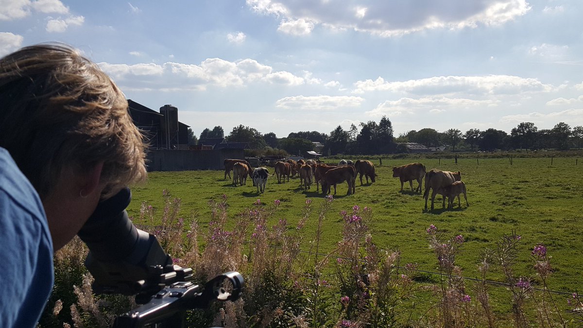 WeShootit99's tweet photo. Topdag #Opnames #Gemeente #Hoogeveen #Promotiefilm #Gemeentefilm #Pulledag en toen de natuur in https://t.co/6kY825a0kH