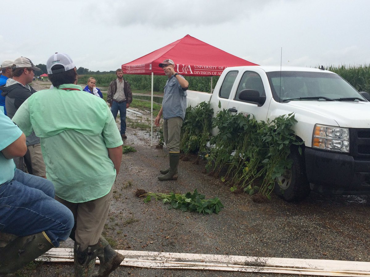 CBokker's tweet photo. Dr. Slaton discussing chloride toxicity at the Soybean College @SlatonNathan @AgWriterArk https://t.co/ekqwU2x43L