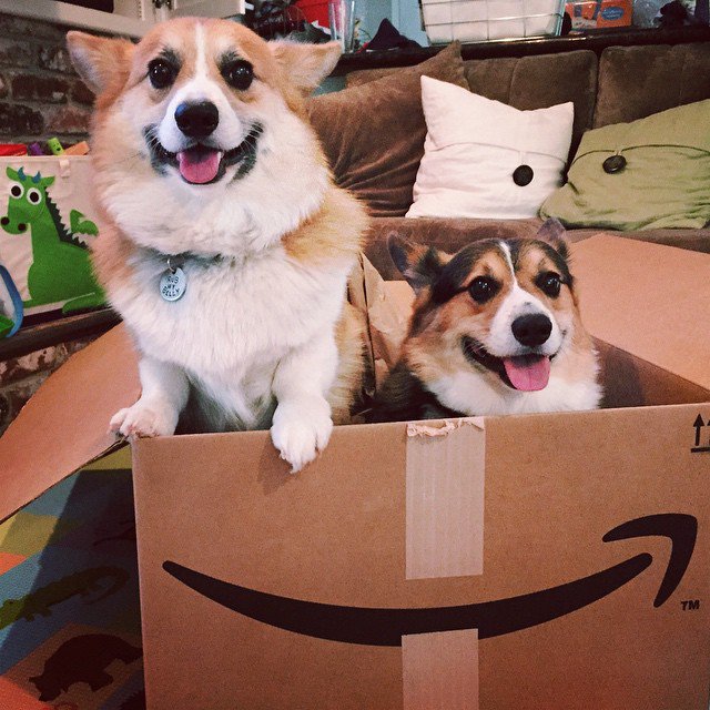 amazon's tweet photo. "The feeling you get when you’re trying to buy something random and you find it’s eligible for #AmazonPrime. #YASSS" https://t.co/9dukbbF5Pq