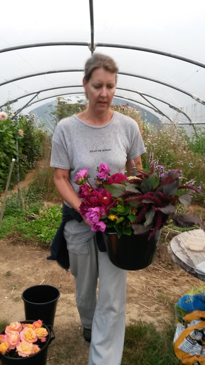 #cuttingflowers for this weekends' Weddings. #homegrowncutflowers