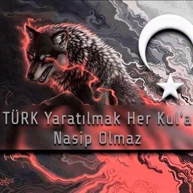 MUZAFFER KARABULUT (@7873muzaffer) on Twitter photo 