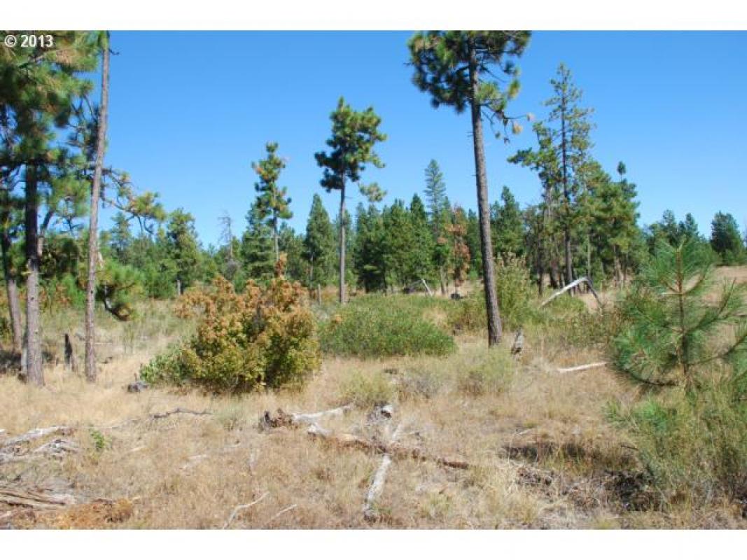 janeecekvr's tweet photo. ... someone looking for a great #property in #Bickleton? https://t.co/L5wUWuVPMJ #realestate https://t.co/H5qLIULgHt
