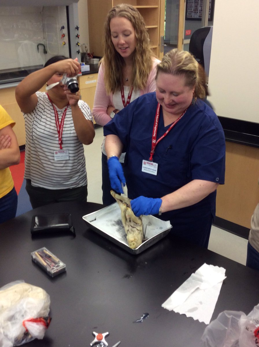 eyeonsci's tweet photo. Dr. Connie shares her suturing expertise -WOW! MI @PLTWorg CT participants are ready for surgery. https://t.co/P12QXnm2Kd