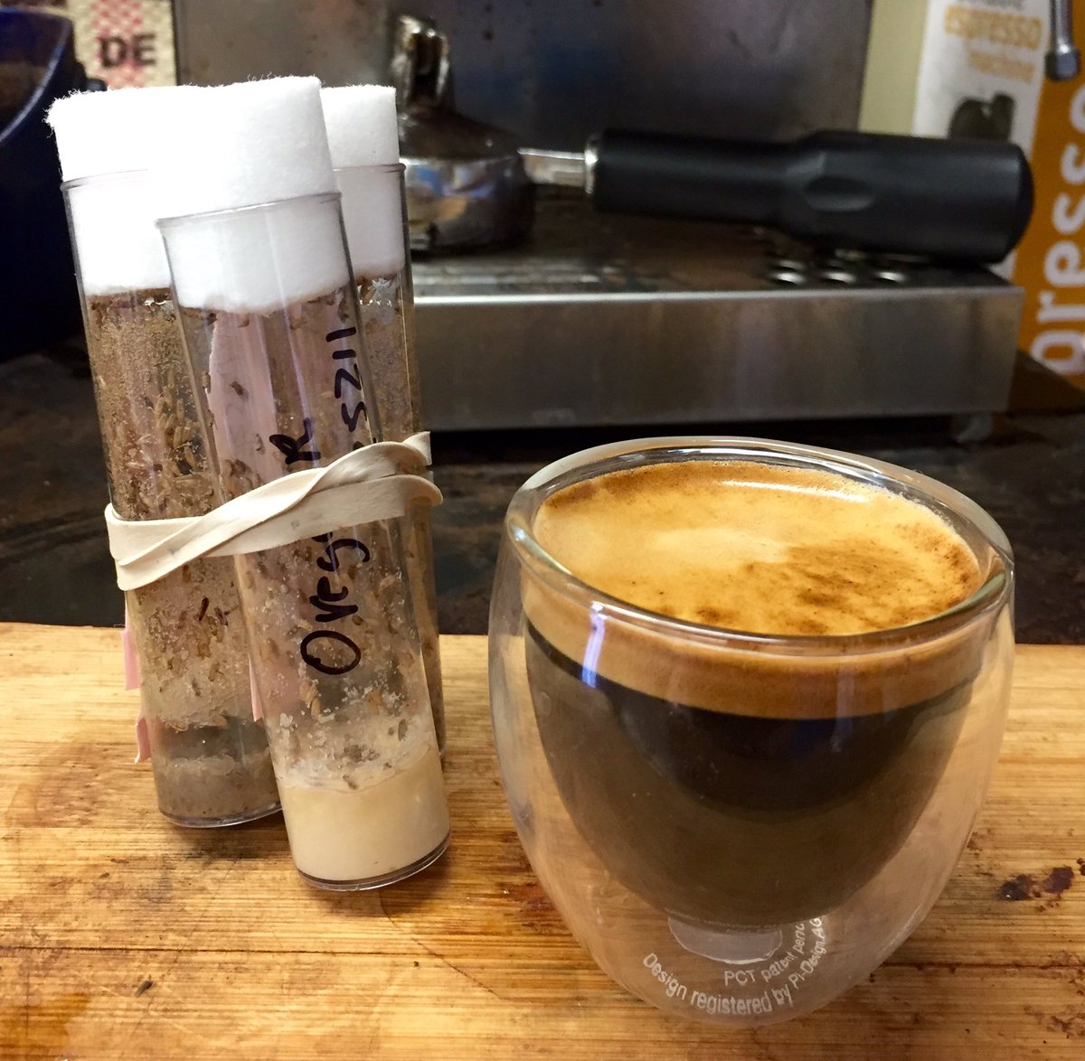 tjsmerritt's tweet photo. On the hand, it tough to come back from vacation. On the other, Flies and Espresso! #science #drosophila https://t.co/OvuI8Upfh6
