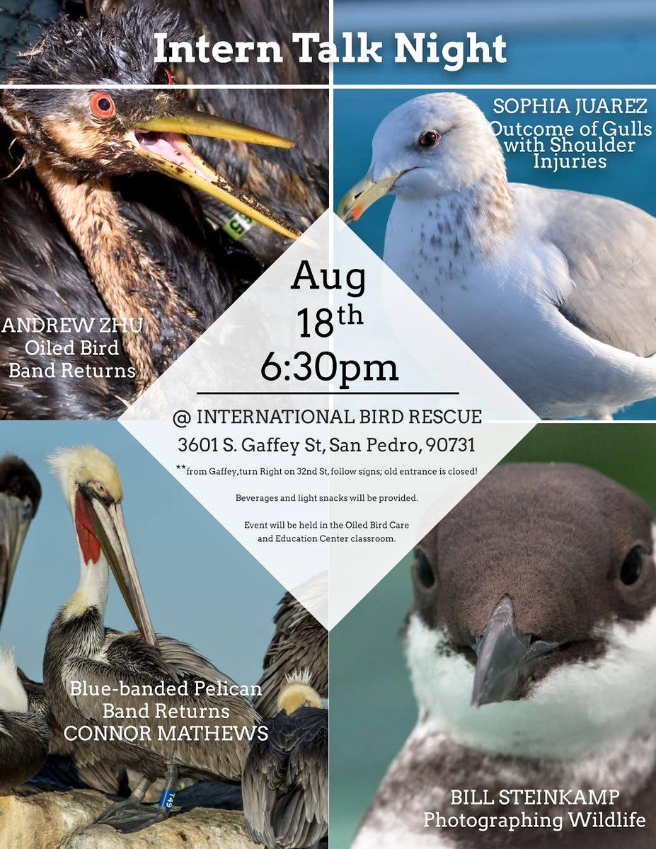 Oiled & injured birds & those who rescue them. Tonight. Free. Snacks! @IntBirdRescue  #wildlifeheros