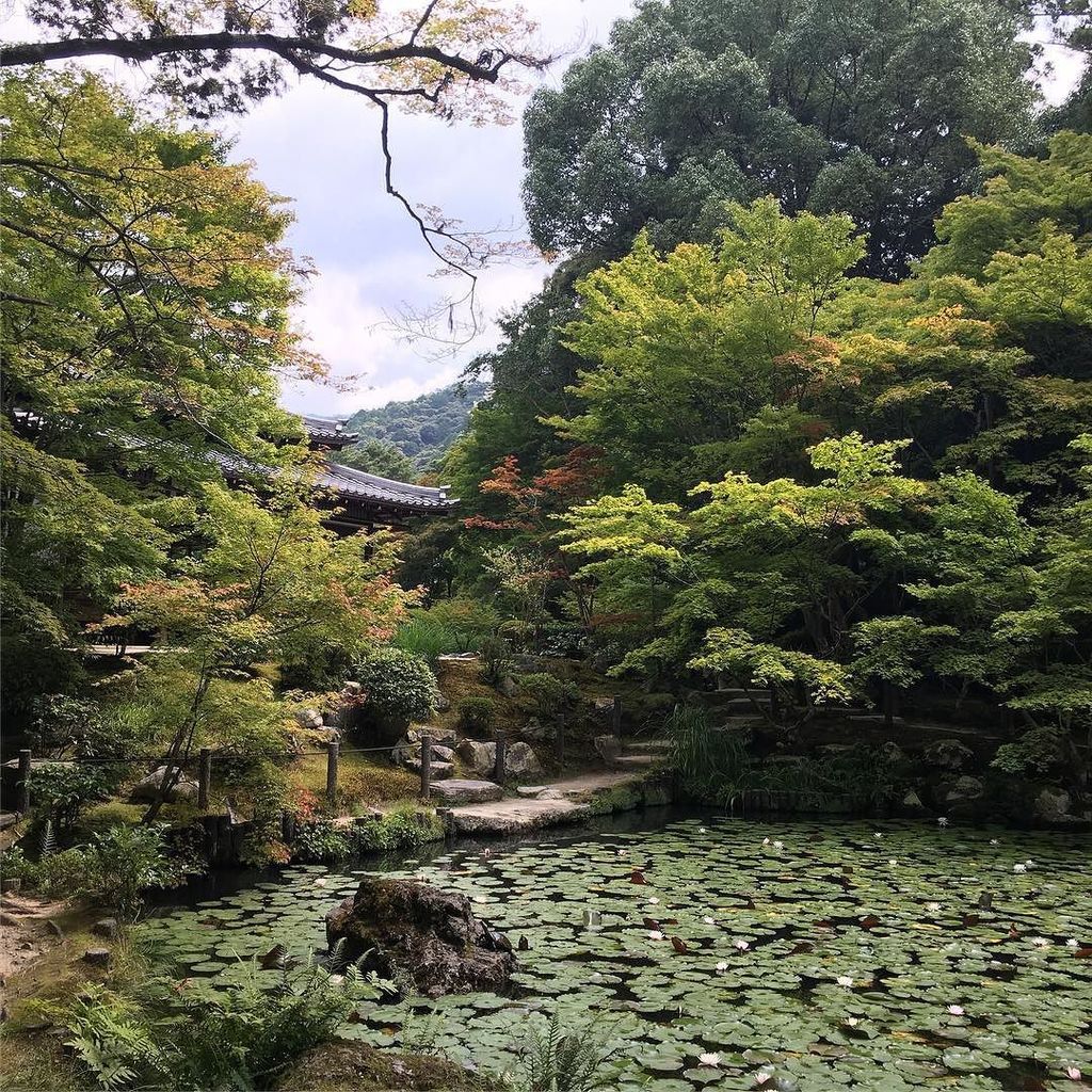 Ieri siamo stati ad Hiroshima ed è stata un'esperienza incredibilmente forte, ma non voglio mettere nessuna foto di…