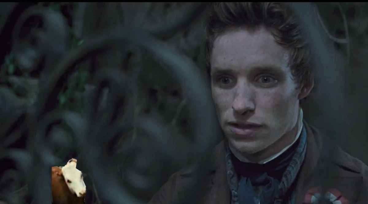 RevoMOOtion's tweet photo. Say something witty but romantic! #backgroundcow #lesmis https://t.co/qTYa28rOZO
