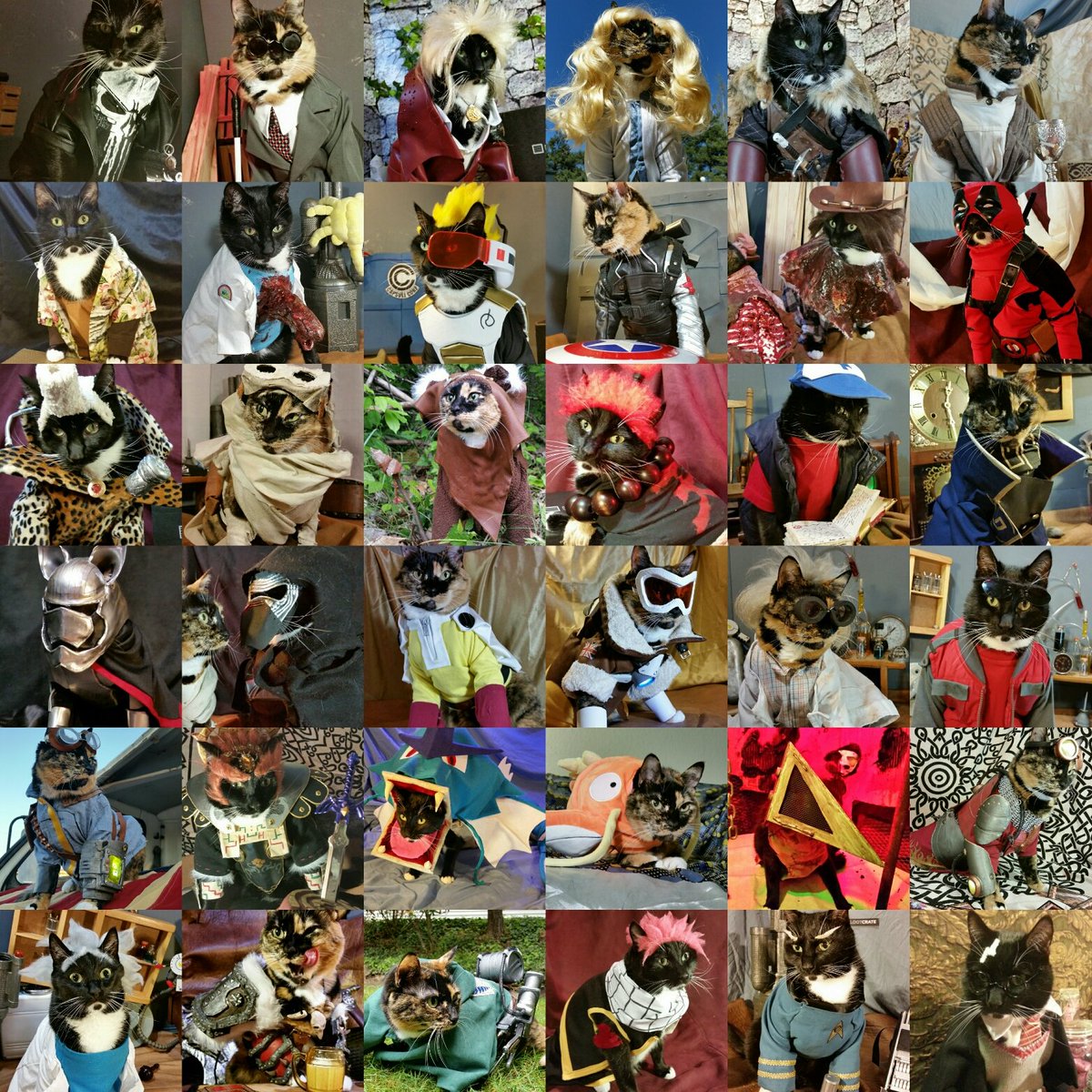 Cat_Cosplay's tweet photo. @Outside_the_Vox Great Stream. =^.^= And yes you found us on Twitter. https://t.co/sl5voDfmeb