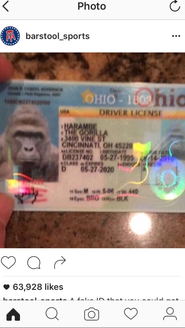 Mitchell Grizzlies tweet media