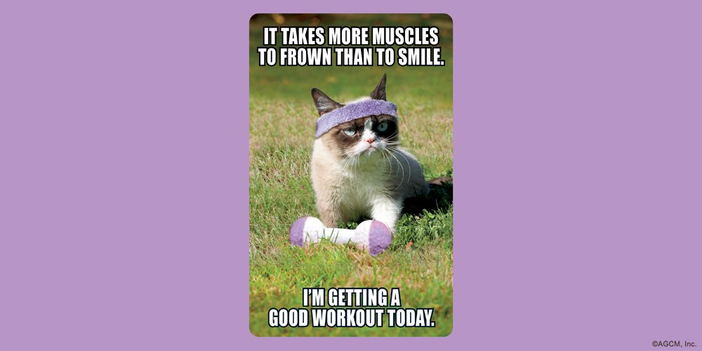 35 of the Funniest Grumpy Cat Memes Ever Created