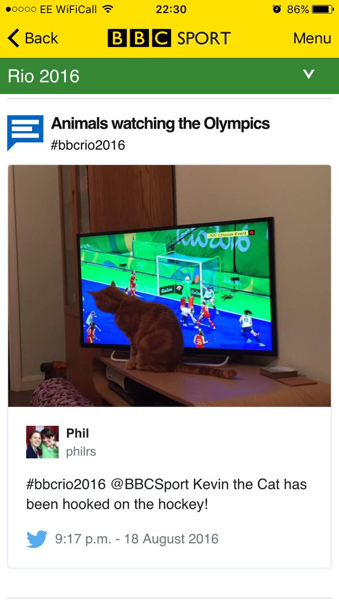 HashtagCatbear's tweet photo. Just casually making an appearance on #bbcrio2016 no biggie https://t.co/efiotkoQqV