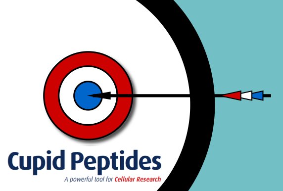 CupidPeptides's tweet photo. Cupid Peptides CEO Jonny Ryves unveils cell penetrating GFP technology at Peptide Showcase https://t.co/k2rAXFKpKY https://t.co/EqdIQ82Am9
