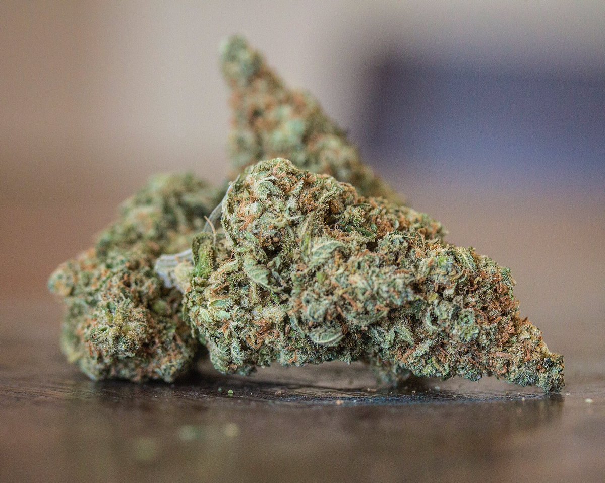 wpgrp420's tweet photo. Maui Haze by Gen One Genetics. Get your 5g 8th today #mmj #sativa #cannabis #staylifted #stayhigh #stoner #maryjane https://t.co/px3oP6OTEU