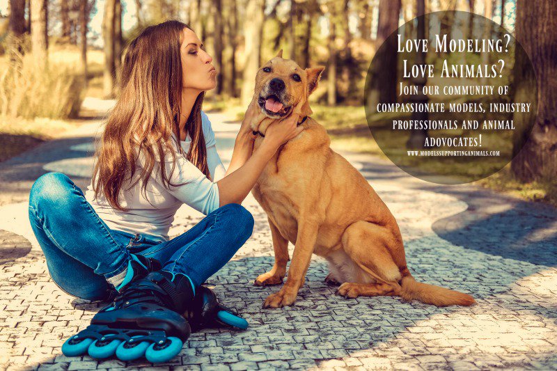 CF_models's tweet photo. Only 2 days left to enter our September Cover Model Contest! #model #covermodel #contest #crueltyfree #kindmodel https://t.co/FS2lcgpK3l