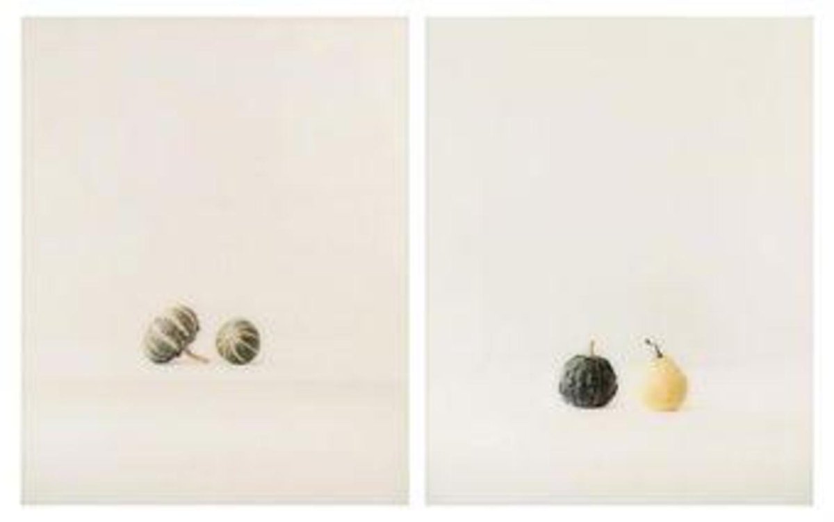 Kürbis (Pumpkin), 39×31in, Sold for $4,296 USD #elgeresser auctionclub.com/public/histori…