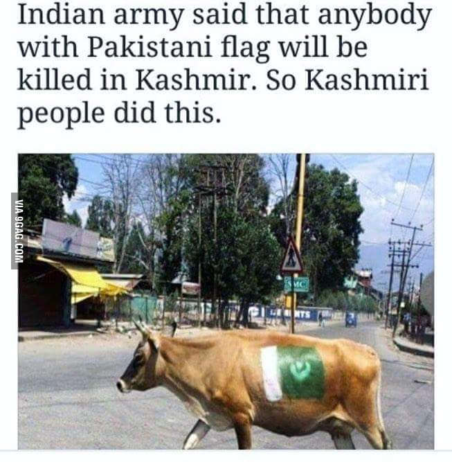 cadia_stand's tweet image. هدد الجيش الهندي اهالي اقليم كشمير المحتل بعقوبة الاعدام لمن يملك علم باكستان
فكان هذا فعلم 😂😂😂
#twistedlogic 
#كوسه