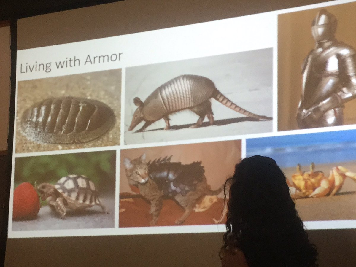 Fishguy_FHL's tweet photo. Friedman gets us started back up with an examination of armor. In water, lift and drag become important.
#fhlfish16 https://t.co/Iepv2886XJ