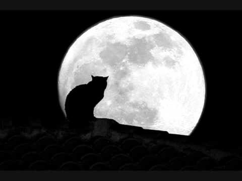 Hubo seis lunas llenas. A la séptima, los gatos anunciaron en la plaza que, por fin, el tiempo se había detenido.