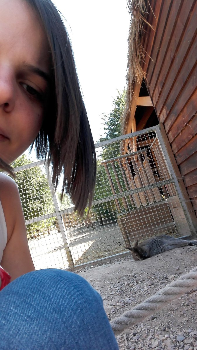 S_Arnold76's tweet photo. On s'tape la pose avec le kangourou ! https://t.co/RBZ9M2TwDz