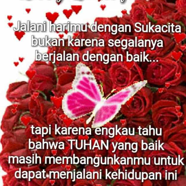 marice on twitter selamat pagi selamat beraktifitas tuhan memberkati lihat