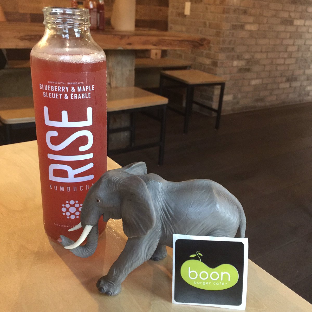 tarahansenrix's tweet photo. Ending off our anniversary w/a datenight to @boonburger &amp; a few of my fav things:elephants &amp; @RISEMother @Matrix015 https://t.co/HbKEHZ92CM