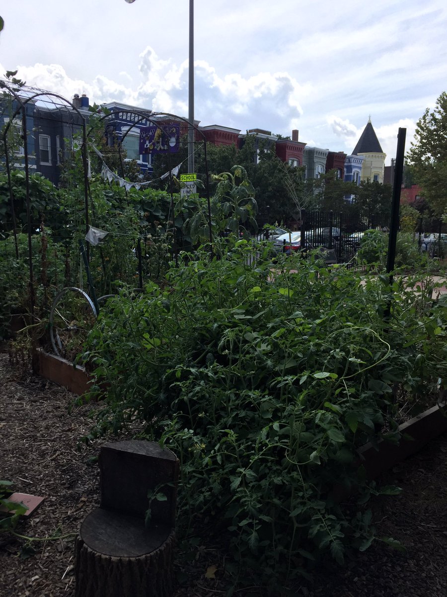 Ms. Clyne tweet media