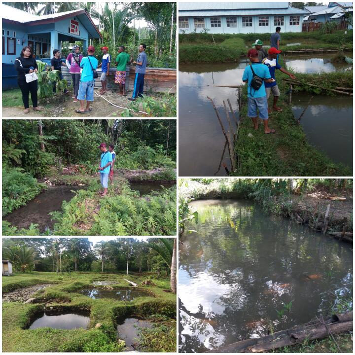 Review lapangan klpk calon penerima paket bantuan sarana budidaya ikan nila bersama @PPBPUSLUHDAYAKP <a href="/BudidayaKKP/">Budidaya KKP (DJPB)</a>.