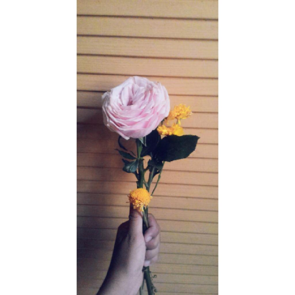 sitif3740's tweet photo. Makasih bunganya😙💕🌷🌹 https://t.co/uDOPkmnuud