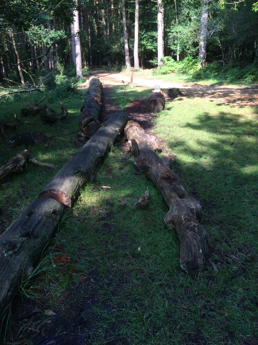 NT_NewForest's tweet photo. Balance logs, limbo, jumping stick squares and a high jump. Our #wildplay course at Whitfield moor #newforest https://t.co/OFO37G5vAN